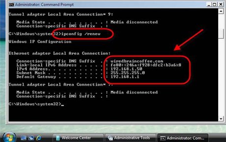 Client đã nhận địa chỉ IP từ DHCP Server mới